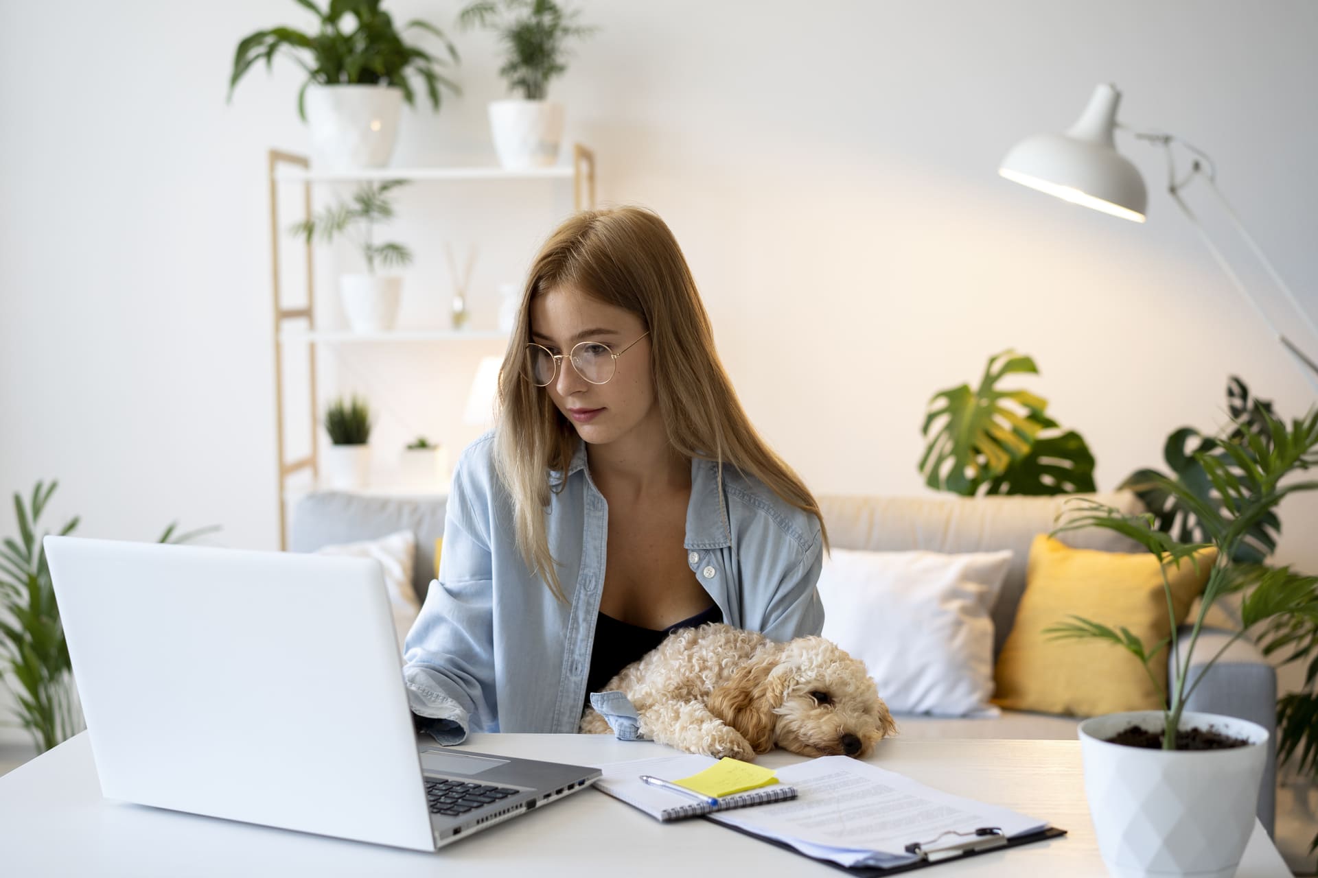 Prestação de Serviços Remotos